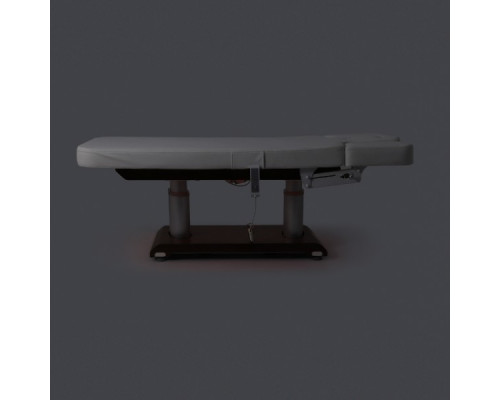 Электрический стол ММКМ-2 (КО-159.1 Д) с подогревом ложа