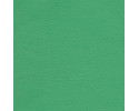 №76 зеленый глянцевый +2000 руб